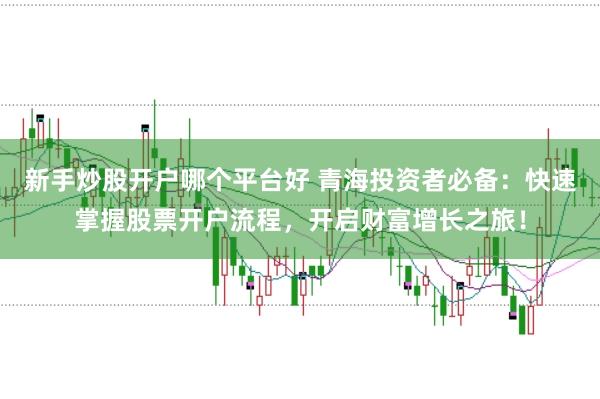 新手炒股开户哪个平台好 青海投资者必备：快速掌握股票开户流程，开启财富增长之旅！