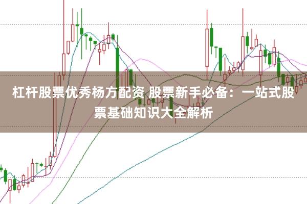 杠杆股票优秀杨方配资 股票新手必备：一站式股票基础知识大全解析