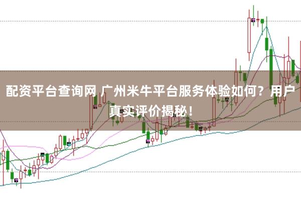 配资平台查询网 广州米牛平台服务体验如何？用户真实评价揭秘！