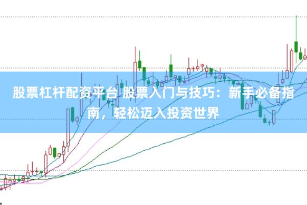 股票杠杆配资平台 股票入门与技巧：新手必备指南，轻松迈入投资世界