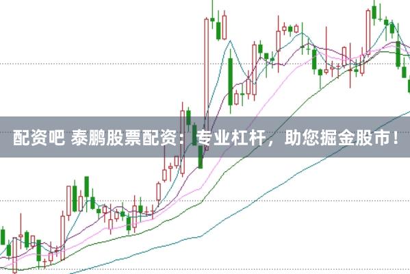 配资吧 泰鹏股票配资：专业杠杆，助您掘金股市！