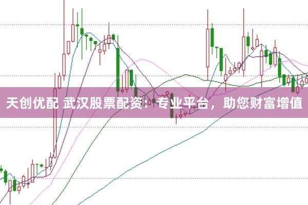 天创优配 武汉股票配资：专业平台，助您财富增值