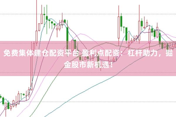 免费集体建仓配资平台 盈利点配资：杠杆助力，掘金股市新机遇！