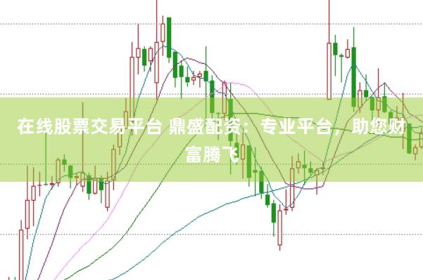 在线股票交易平台 鼎盛配资：专业平台，助您财富腾飞