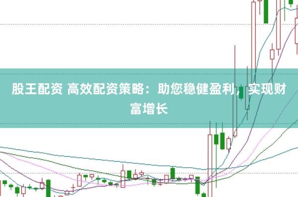 股王配资 高效配资策略：助您稳健盈利，实现财富增长