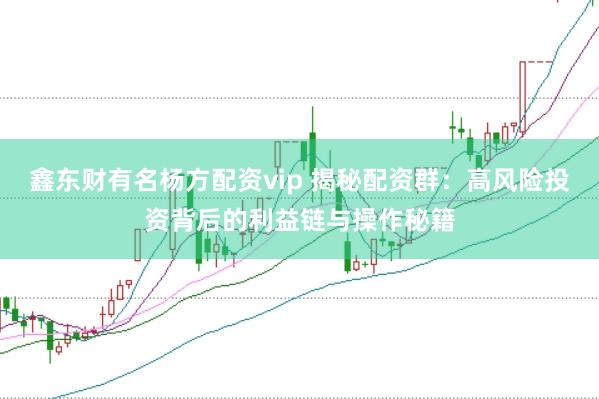 鑫东财有名杨方配资vip 揭秘配资群：高风险投资背后的利益链与操作秘籍