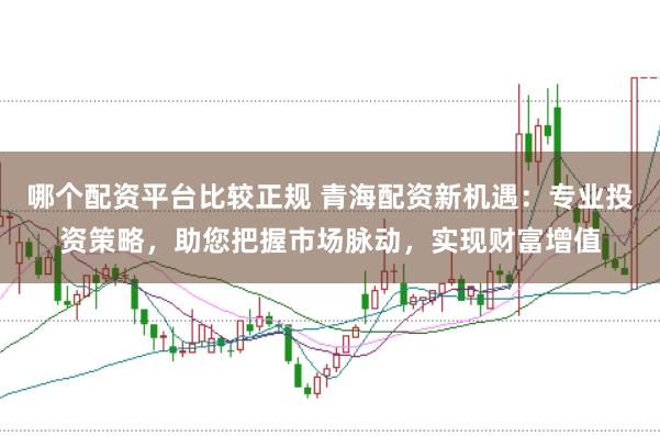 哪个配资平台比较正规 青海配资新机遇：专业投资策略，助您把握市场脉动，实现财富增值