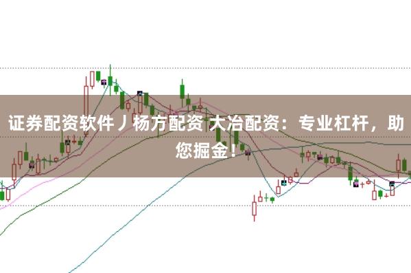 证券配资软件丿杨方配资 大冶配资：专业杠杆，助您掘金！