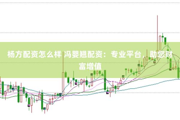 杨方配资怎么样 冯婴翘配资：专业平台，助您财富增值