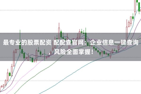 最专业的股票配资 配配查官网：企业信息一键查询，风险全面掌握！