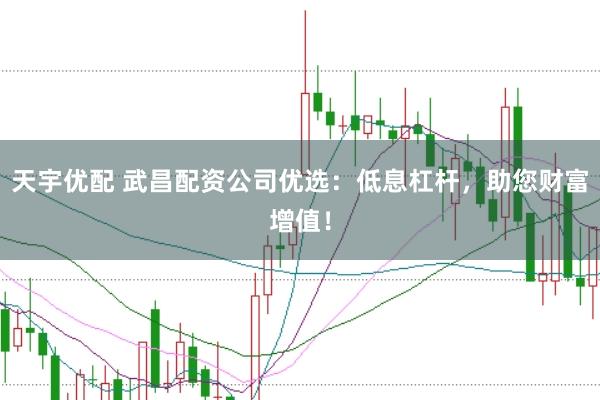 天宇优配 武昌配资公司优选：低息杠杆，助您财富增值！