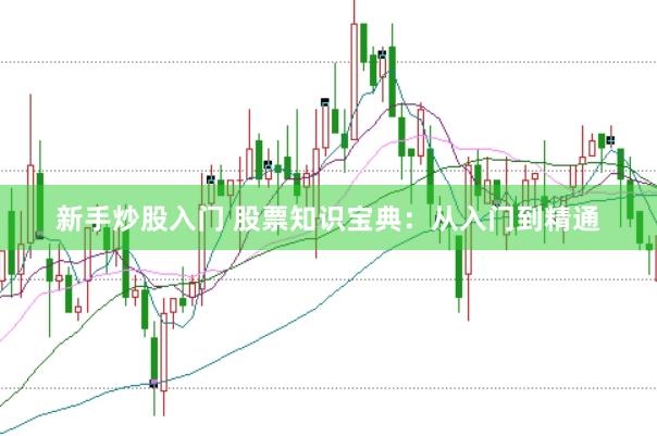 新手炒股入门 股票知识宝典：从入门到精通