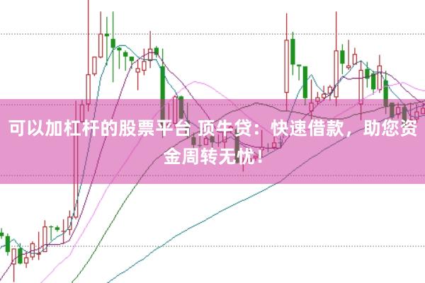可以加杠杆的股票平台 顶牛贷：快速借款，助您资金周转无忧！