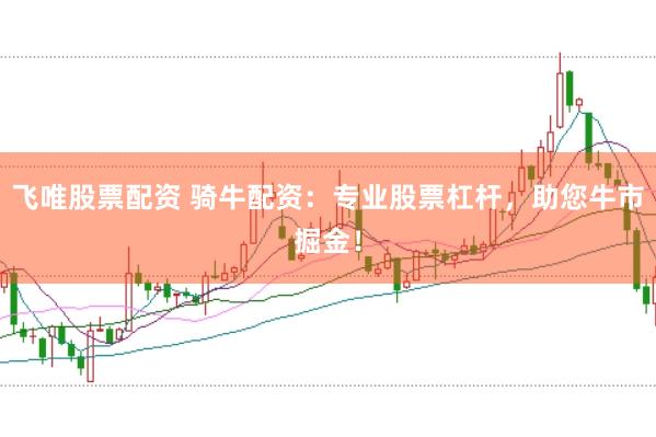 飞唯股票配资 骑牛配资：专业股票杠杆，助您牛市掘金！