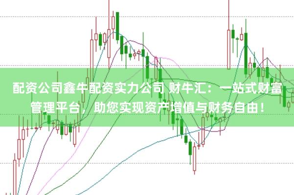 配资公司鑫牛配资实力公司 财牛汇:一站式财富管理平台,助您实现资产增值与财务自由!