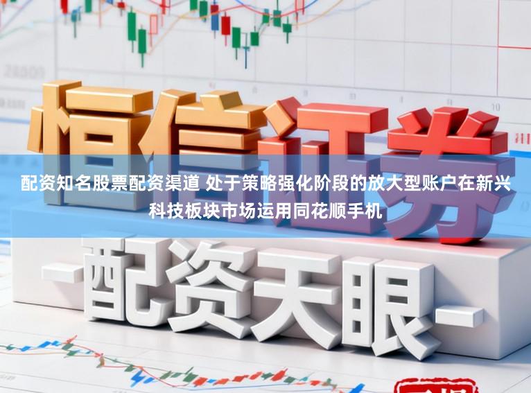 配资知名股票配资渠道 处于策略强化阶段的放大型账户在新兴科技板块市场运用同花顺手机