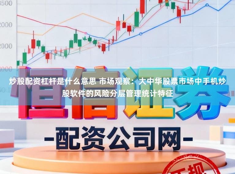 炒股配资杠杆是什么意思 市场观察：大中华股票市场中手机炒股软件的风险分层管理统计特征
