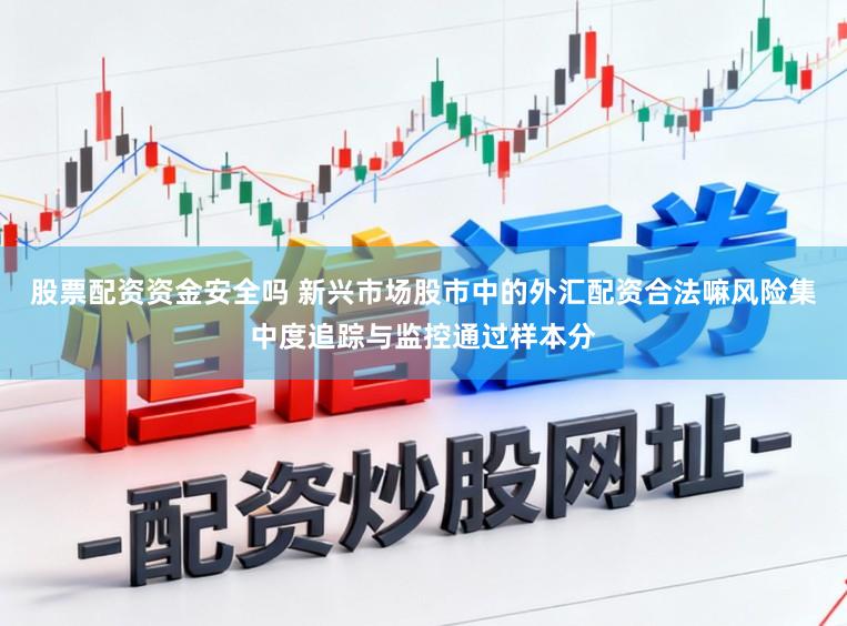 股票配资资金安全吗 新兴市场股市中的外汇配资合法嘛风险集中度追踪与监控通过样本分