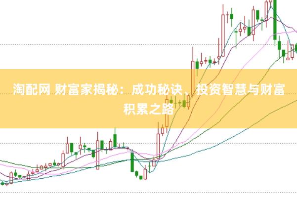淘配网 财富家揭秘：成功秘诀、投资智慧与财富积累之路